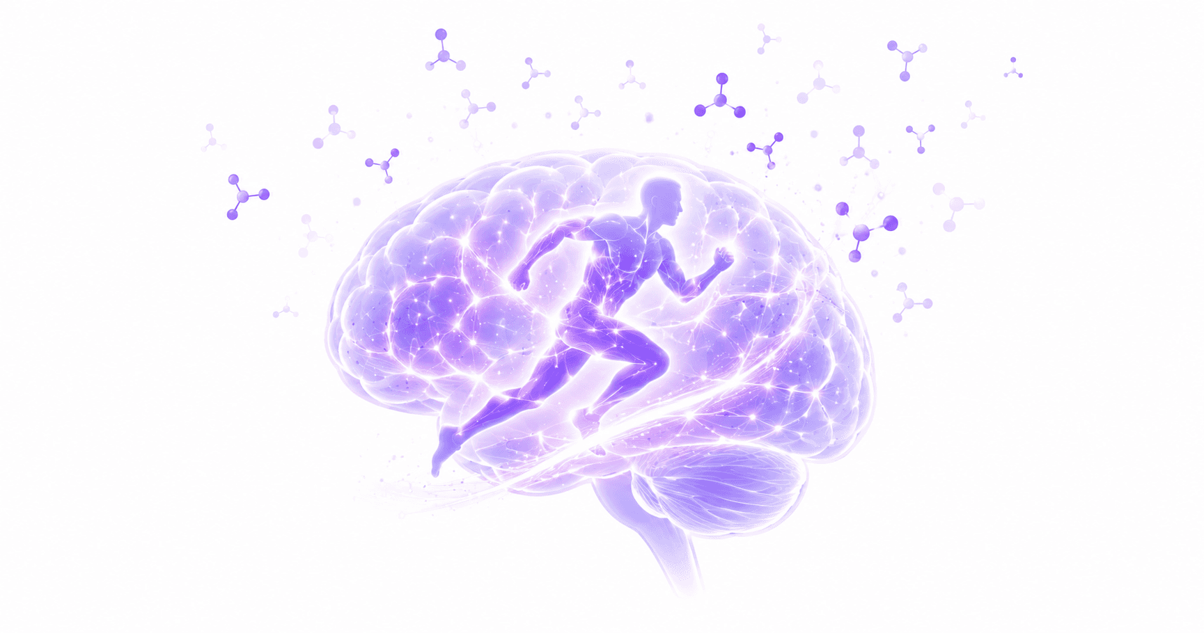 How Exercise Improves Your Memory (What the Research Says)