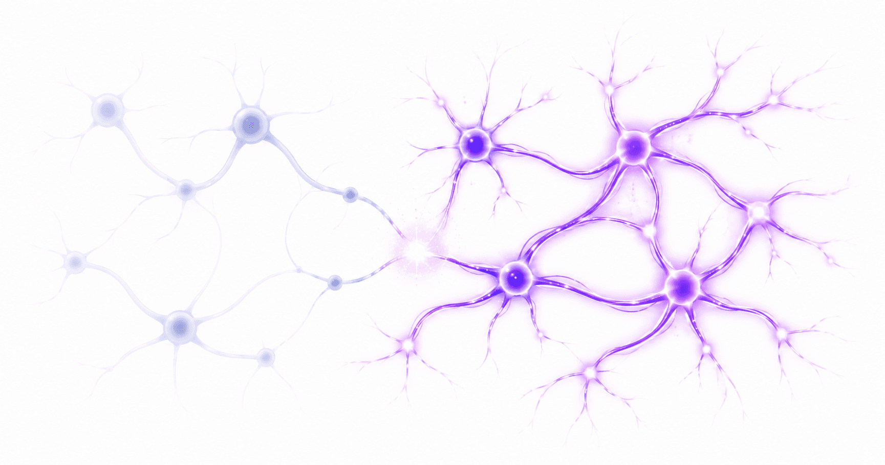 What Happens to Your Memory When You Stop Training