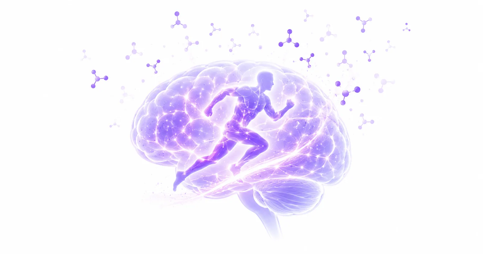 How Exercise Improves Your Memory (What the Research Says)