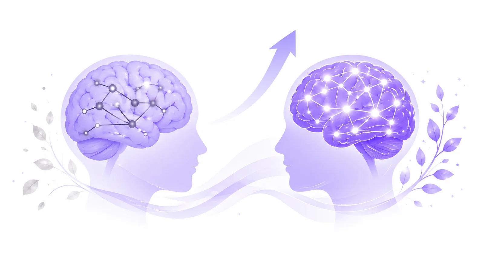 Memory and Ageing: What Declines and What Doesn’t (2026)